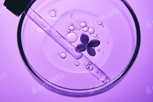 Preview: A drop of serum with bubbles, a cosmetic pipette and a lilac flower in close-up.