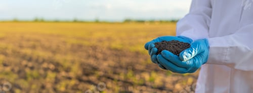 Preview: Field soil samples for analysis. Selective focus.