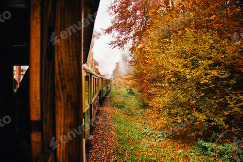Preview: Steam train route along a wild valley in Maramures Romania, in autumn season.