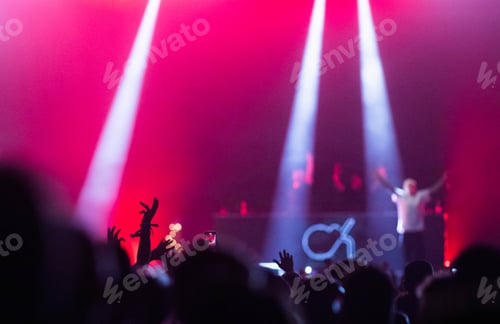 Preview: crowd at concert - summer music festival