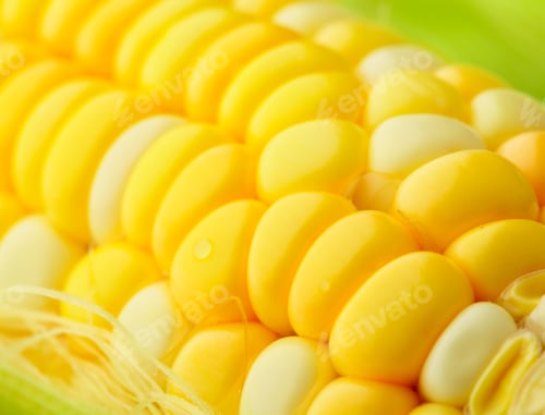 Preview: corn cobs