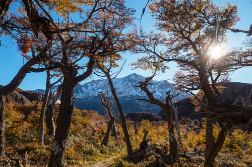 Preview: Autumn in Patagonia