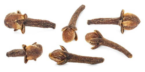 Preview: Fragrant clove buds isolated on white, set