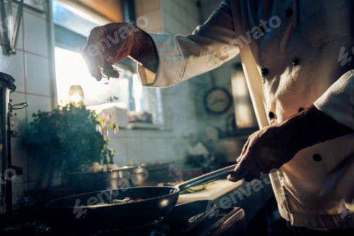 Preview: Chef cooking in a commercial kitchen.
