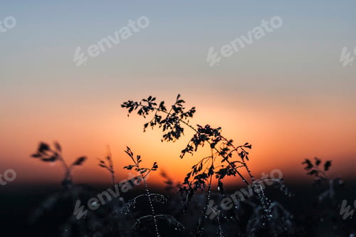 Preview: Rural scene at sunset, Neulingen, Baden-Wurttemberg, Germany
