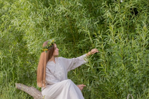Preview: young girl in folklore dress outdoors among greenery