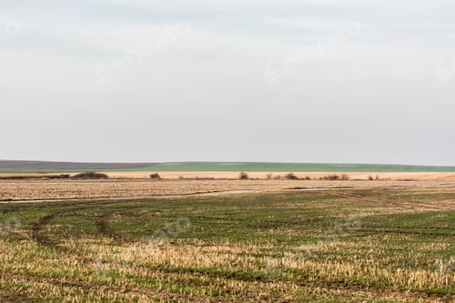 Preview: grassy lawn and field against sky with clouds