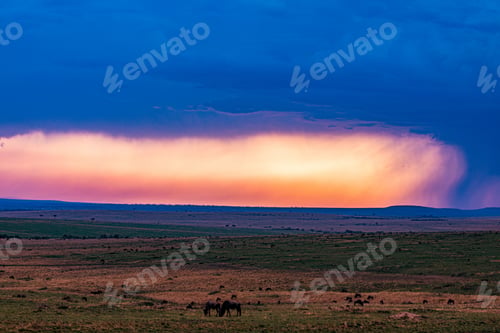 Preview: Kenya Landscapes Magical Sunset Sunrise Dramatic Clouds Rainy Wildlife Animals