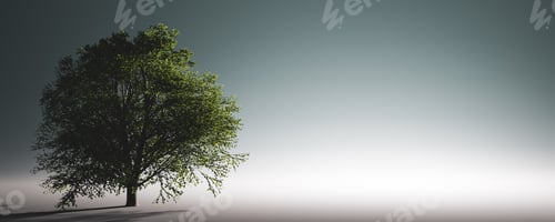Preview: Green lonely tree. Nature background, single light and shadow