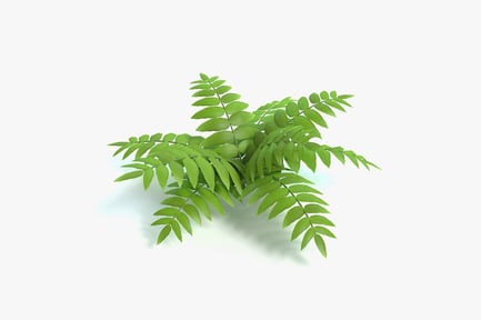 Preview: Stylized Fern Plant