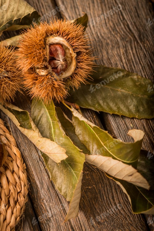 Preview: Roasted chestnuts and leaves