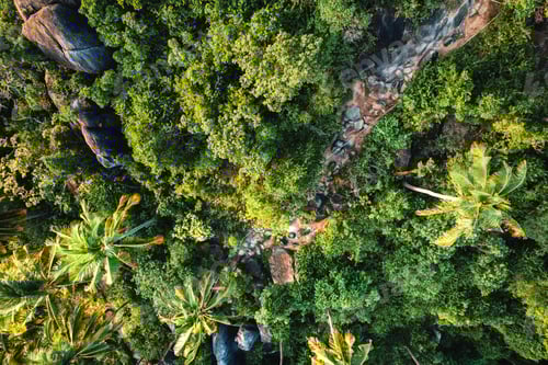Preview: tropical island and sea view form above
