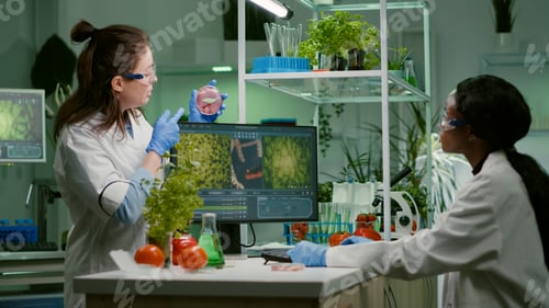 Preview: Medical team discussing about petri dish with vegan meat