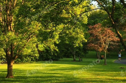 Preview: Golden Moment in May