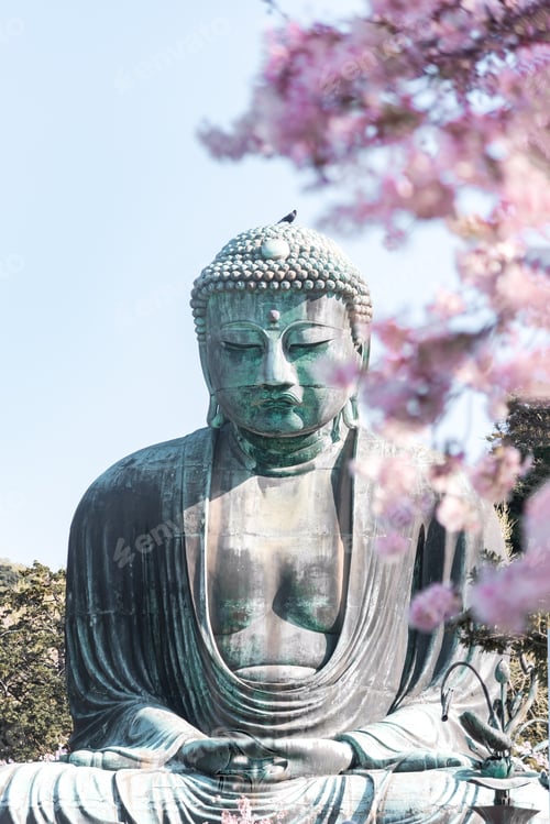 Preview: Great Buddha at Kotoku-in with beautiful cherry blossoms. Kamakura, Japan