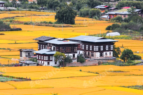 Preview: Life in Bhutan, the traditional way of farming and living