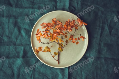 Preview: A white round dish and a branch with yellow autumn leaves on dark blue background