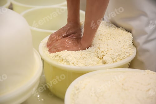 Preview: Worker pressing curd into mould at cheese factory, closeup