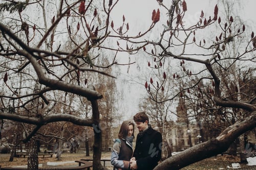 Preview: Romantic stylish couple hugging gently, holding hands in autumn park under unusual tree
