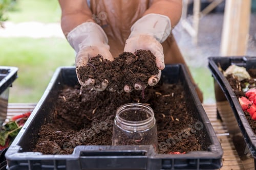 Preview: Earthworms on hand for organic fertilizer farming concept