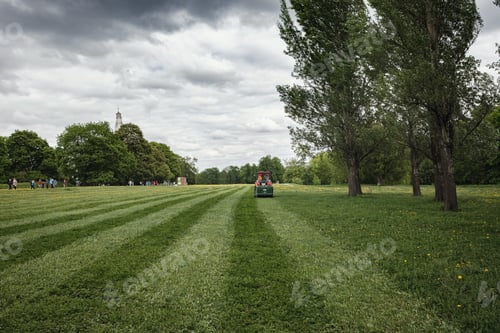 Preview: mower cutting the grass in public park.
