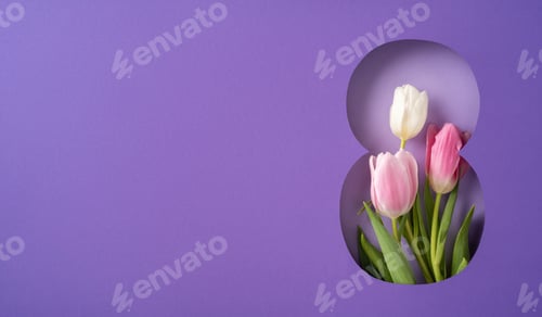 Preview: A composition featuring pink and white tulips in an artistic purple background evoking elegance