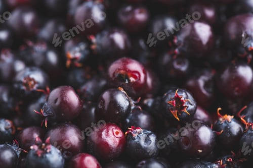 Preview: Close Up of Ripe Berries of Shadbush