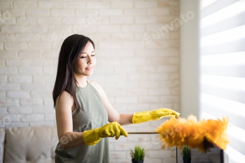 Preview: Beautiful housewife rubbing feather duster on television