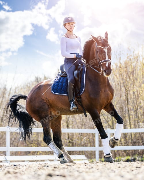 Preview: Young teen rider girl riding horse at the field