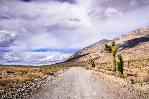 Preview: Dirt road in Death Valley