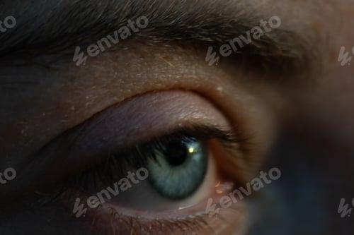 Preview: Closeup of a human eye