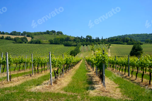 Preview: Country landscape near Meldola and Bertinoro, Emilia-Romagna