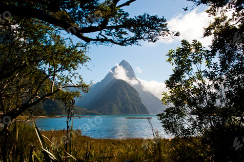 Preview: Mitre Peak Seen Through the Trees at Milford Sound, Fiordland, South Island, New Zealand