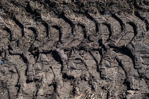 Preview: Tire Tracks Protector on Dirt. Wheel's Trail Tread.