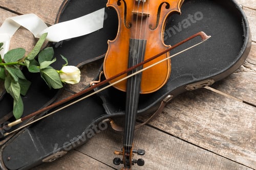 Preview: Beautiful violin