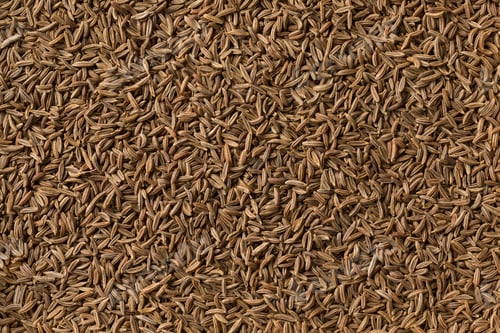 Preview: Caraway seeds full frame
