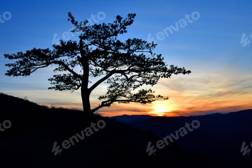Preview: Sunset over mountains Shenandoah Valley VA, which silhouettes a beautiful lone tree on a cliff