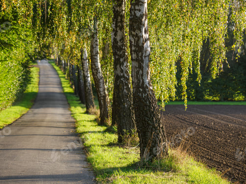 Preview: Stunning scenic landscape of Westphalia, Germany, located in Borken