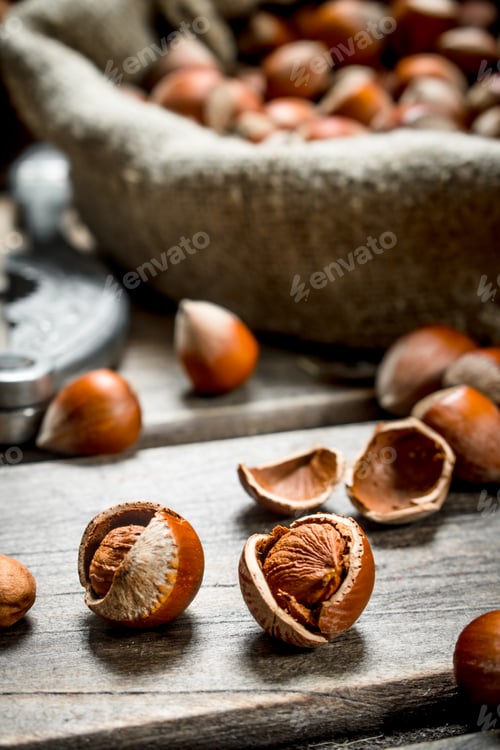 Preview: Hazelnuts in the shell.