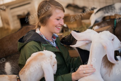 Preview: A woman in a stable on an organic farm. White and black goats.