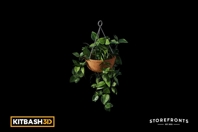 Kitbash: Storefronts - Hanging Pothos Plant 3D, Incl. hanging & nature ...