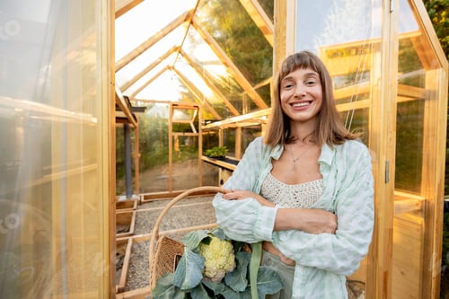 Preview: Organic Harvest Outside the Greenhouse