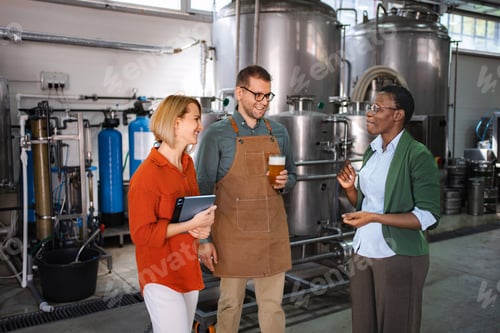 Preview: Diverse business team discussing craft beer production in a brewery
