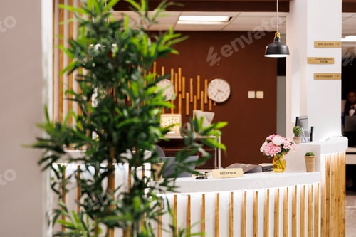 Preview: stylish modern hotel entrance area