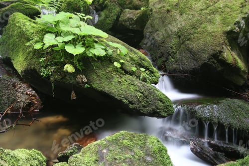 Preview: Boulders in the flowing water