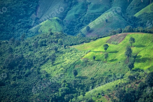 Preview: Beautiful mountain and agriculture field landscape