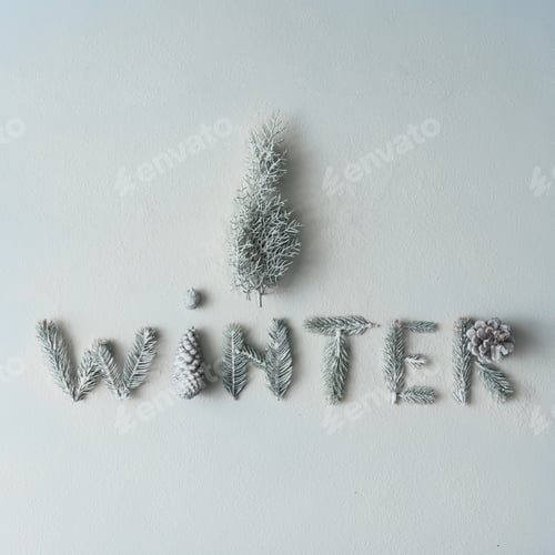 Preview: "WINTER" made of tree branches and pine cones with christmas tree on snow background.