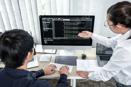 Preview: Team of two professional programmers working on website projects in software development