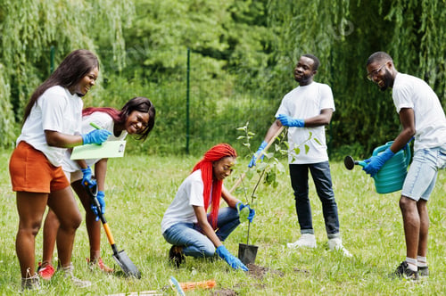 Preview: Africa volunteering, charity, people and ecology