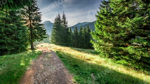 Preview: Wonderful valley in Tatra Mountains at dawn, Poland, Europe